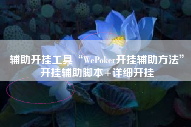 辅助开挂工具“WePoker开挂辅助方法”开挂辅助脚本+详细开挂
