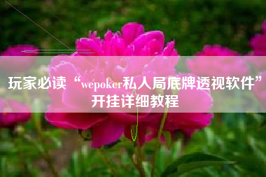 玩家必读“wepoker私人局底牌透视软件”开挂详细教程