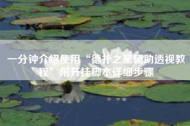 一分钟介绍使用“德扑之星辅助透视教程”附开挂脚本详细步骤