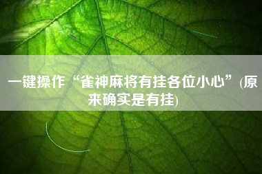 一键操作“雀神麻将有挂各位小心”(原来确实是有挂)