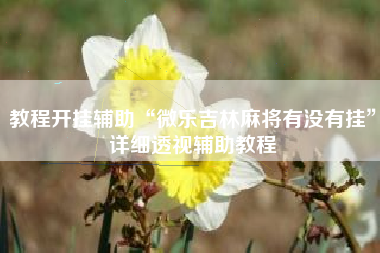 教程开挂辅助“微乐吉林麻将有没有挂”详细透视辅助教程
