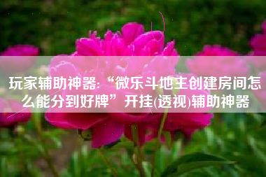 玩家辅助神器:“微乐斗地主创建房间怎么能分到好牌	”开挂(透视)辅助神器