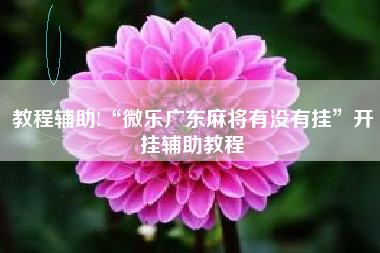 教程辅助!“微乐广东麻将有没有挂	”开挂辅助教程