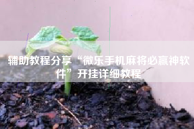 辅助教程分享“微乐手机麻将必赢神软件”开挂详细教程