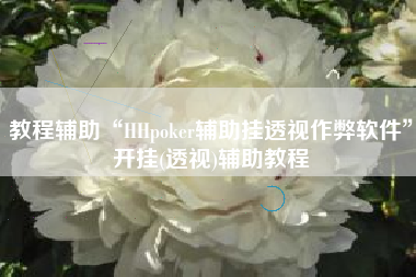 教程辅助“HHpoker辅助挂透视作弊软件”开挂(透视)辅助教程