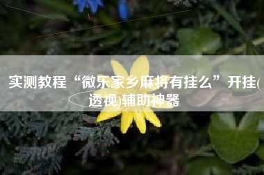 实测教程“微乐家乡麻将有挂么	”开挂(透视)辅助神器