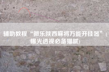 辅助教程“微乐陕西麻将万能开挂器”(曝光透视必备猫腻)