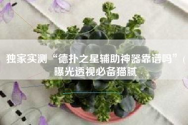 独家实测“德扑之星辅助神器靠谱吗”(曝光透视必备猫腻