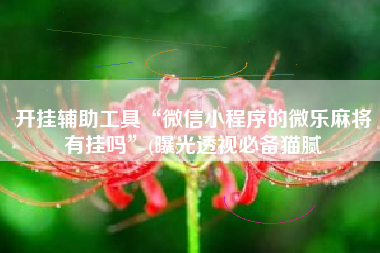 开挂辅助工具“微信小程序的微乐麻将有挂吗	”(曝光透视必备猫腻