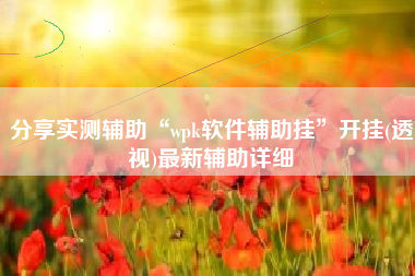 分享实测辅助“wpk软件辅助挂”开挂(透视)最新辅助详细