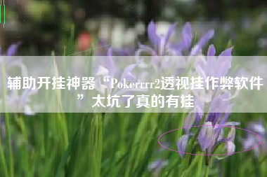 辅助开挂神器“Pokerrrr2透视挂作弊软件”太坑了真的有挂