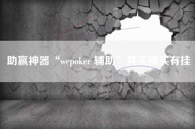 助赢神器“wepoker 辅助”其实确实有挂