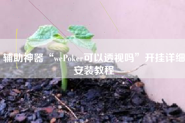 辅助神器“wePoker可以透视吗	”开挂详细安装教程
