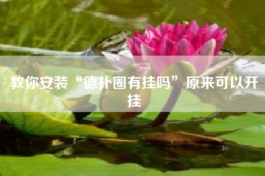 教你安装“德扑圈有挂吗”原来可以开挂