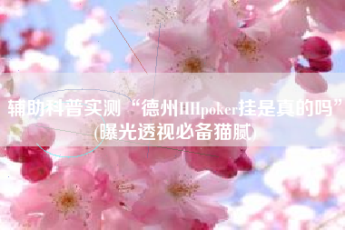 辅助科普实测“德州HHpoker挂是真的吗	”(曝光透视必备猫腻)