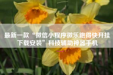 最新一款“微信小程序微乐跑得快开挂下载安装”科技辅助神器手机