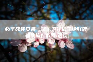 必学教你安装“微乐游戏房主给好牌	”辅助软件教程(透视)