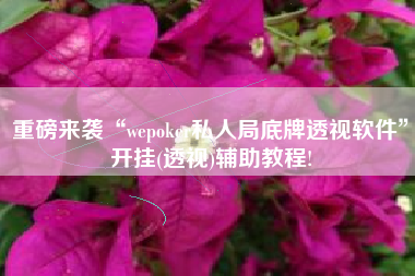 重磅来袭“wepoker私人局底牌透视软件	”开挂(透视)辅助教程!