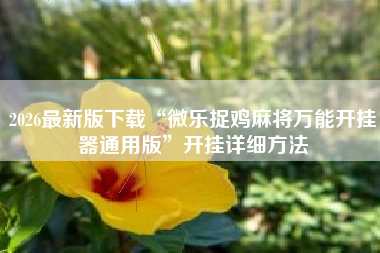 2026最新版下载“微乐捉鸡麻将万能开挂器通用版”开挂详细方法