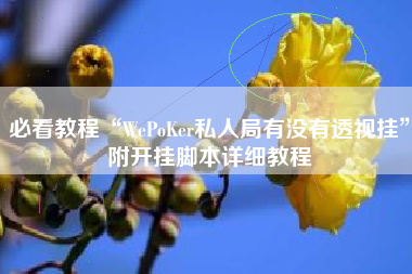 必看教程“WePoKer私人局有没有透视挂”附开挂脚本详细教程