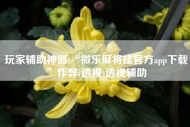 玩家辅助神器:“微乐麻将挂官方app下载”作弊(透视)透视辅助