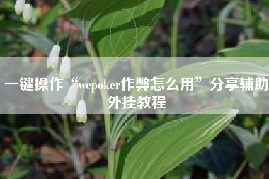 一键操作“wepoker作弊怎么用	”分享辅助外挂教程