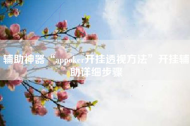 辅助神器“appoker开挂透视方法	”开挂辅助详细步骤
