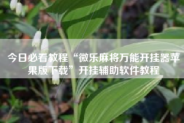 今日必看教程“微乐麻将万能开挂器苹果版下载	”开挂辅助软件教程