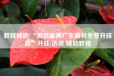 教程辅助!“微信雀神广东麻将免费开挂器	”开挂(透视)辅助教程