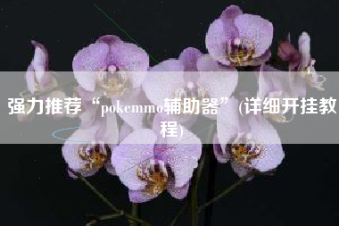 强力推荐“pokemmo辅助器”(详细开挂教程)