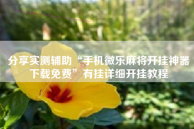 分享实测辅助“手机微乐麻将开挂神器下载免费”有挂详细开挂教程