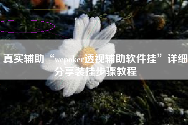 真实辅助“wepoker透视辅助软件挂	”详细分享装挂步骤教程