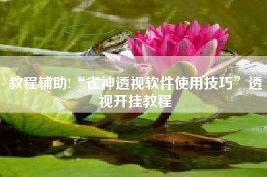 教程辅助!“雀神透视软件使用技巧	”透视开挂教程