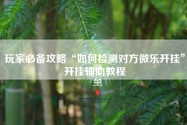 玩家必备攻略“如何检测对方微乐开挂”开挂辅助教程