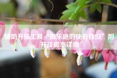 辅助开挂工具“微乐跑的快有挂没”附开挂脚本详细