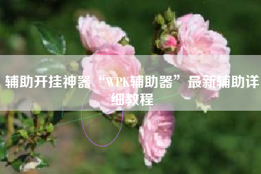 辅助开挂神器“WPK辅助器”最新辅助详细教程