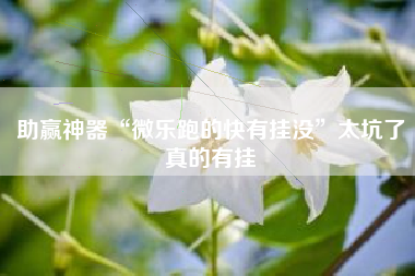 助赢神器“微乐跑的快有挂没”太坑了真的有挂