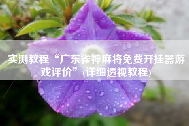 实测教程“广东雀神麻将免费开挂器游戏评价	”(详细透视教程)
