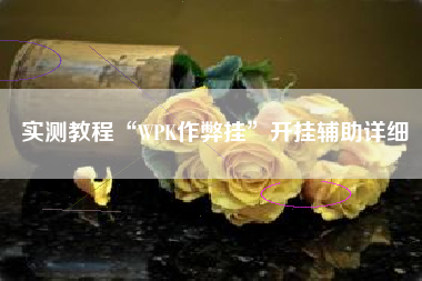 实测教程“WPK作弊挂	”开挂辅助详细