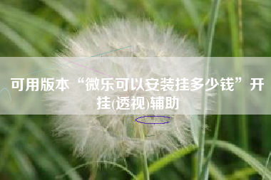 可用版本“微乐可以安装挂多少钱”开挂(透视)辅助