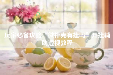 玩家必备攻略“微扑克有挂吗”开挂辅助透视教程