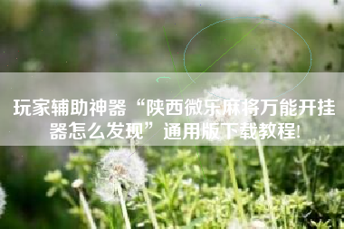 玩家辅助神器“陕西微乐麻将万能开挂器怎么发现”通用版下载教程!