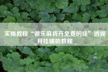 实操教程“微乐麻将开免费的挂”透视开挂辅助教程