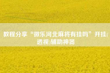 教程分享“微乐河北麻将有挂吗”开挂(透视)辅助神器