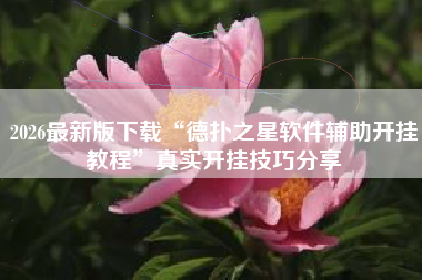 2026最新版下载“德扑之星软件辅助开挂教程”真实开挂技巧分享