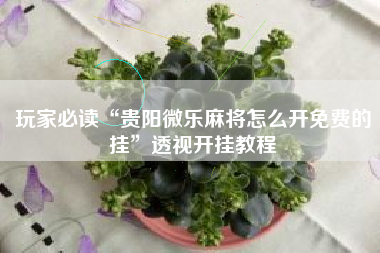 玩家必读“贵阳微乐麻将怎么开免费的挂	”透视开挂教程