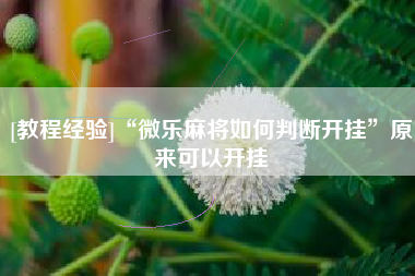 [教程经验]“微乐麻将如何判断开挂”原来可以开挂