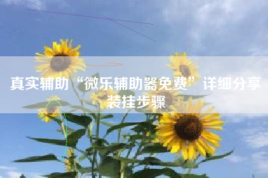 真实辅助“微乐辅助器免费”详细分享装挂步骤