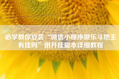 必学教你安装“微信小程序微乐斗地主有挂吗”附开挂脚本详细教程