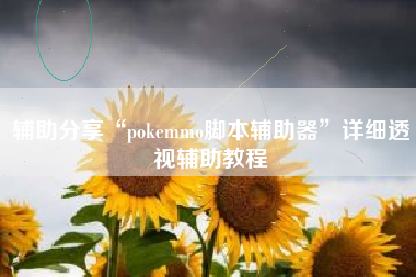 辅助分享“pokemmo脚本辅助器	”详细透视辅助教程